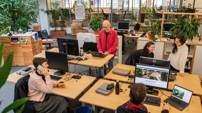 Praktikant:in im Bereich Sustainable Finance (80%), 1. Bild