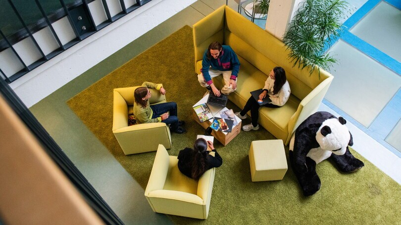 Stagiaire en éducation à l’environnement (100%), 1. portrait