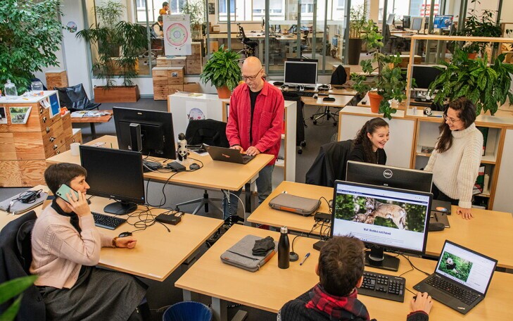 Geschäftsführer:in WWF-Sektion Zug (60%), 1. Bild
